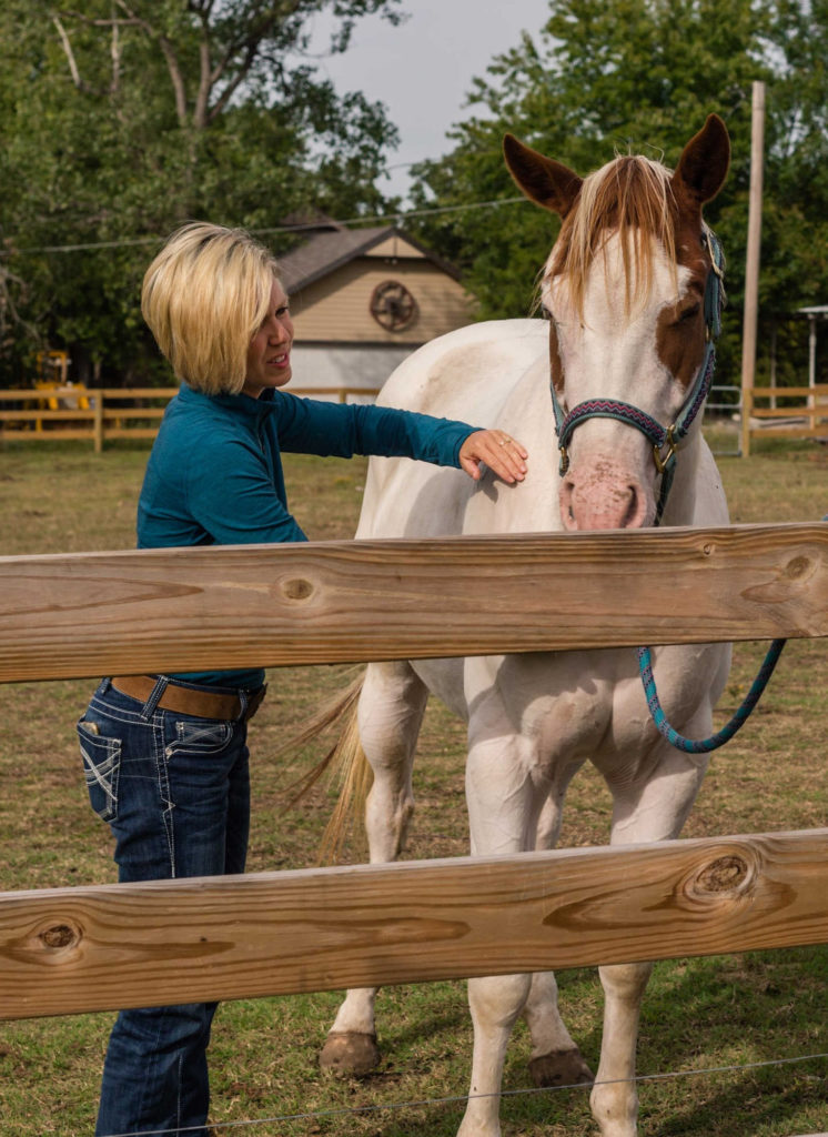 Newberry Show Halter